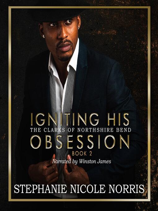 Title details for Igniting His Obsession by Stephanie Nicole Norris - Available